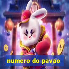 numero do pavao